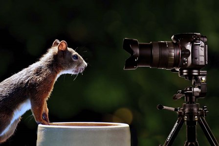 Smile by Ata Alishahi art print