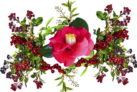 Flower Design K4 by Ata Alishahi art print