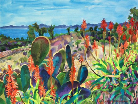Santa Barbara Grace by Carissa Luminess art print