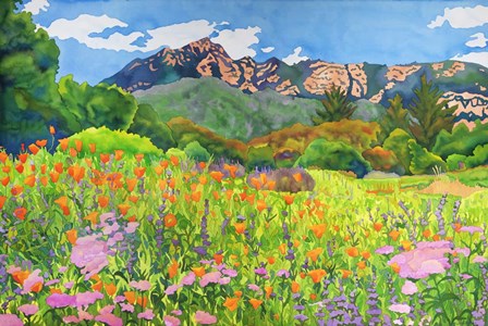Santa Barbara Botanic Garden by Carissa Luminess art print