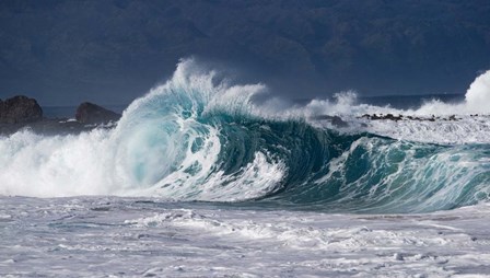 Waves in Pacific Ocean, Hawaii by Panoramic Images art print