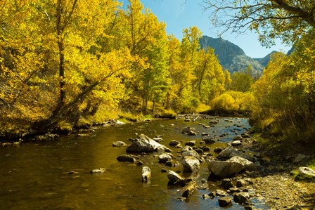 Loop Falls, June Lake, California by Panoramic Images art print