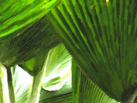 Painted Ferns I by Graffitee Studios art print