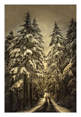 Wagner Creek Snow by David Lorenz Winston art print