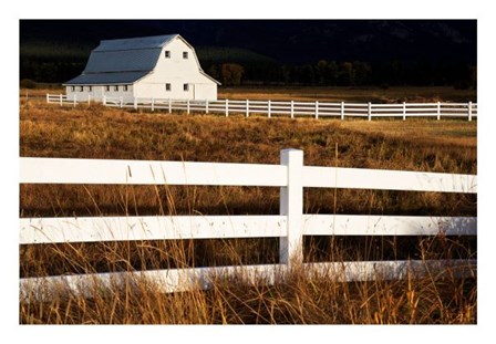 White Bitterroot Barn by Jason Savage art print