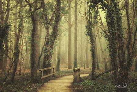 The Bridge by Martin Podt art print