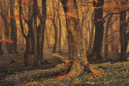 Sweet Dreams by Martin Podt art print