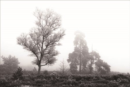 Less is More by Martin Podt art print