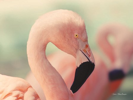 Pink Flamingo by Seven Trees Design art print