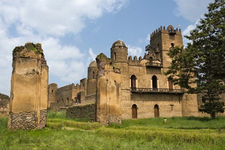 Fasilides&#39; Castle in the fortress-city of Fasil Ghebbi, Gondar, Ethiopia by Keren Su / Danita Delimont art print