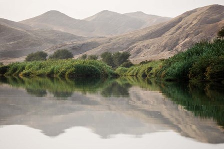 Greenery Along the Banks of the Kunene River, Namibia by Ellen Goff / Danita Delimont art print