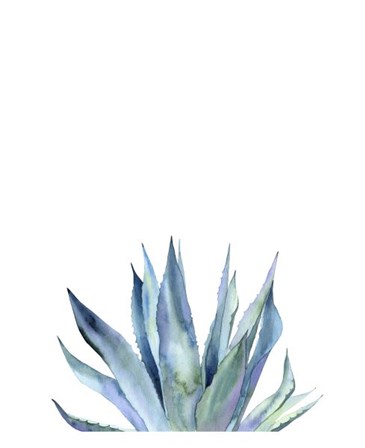 Agave II by Ann Solo art print