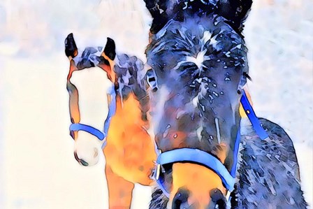 Snow Horses by Lu Anne Tyrrell art print