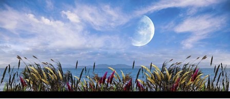 Blowing in the Wind by Ata Alishahi art print