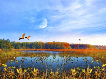 Flying by Ata Alishahi art print