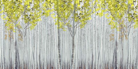White Forest by Ata Alishahi art print