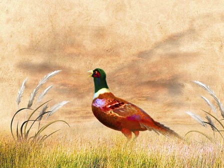 The Red Bird by Ata Alishahi art print