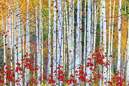 Fall Season 2 by Ata Alishahi art print