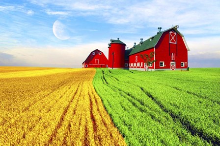Red Barn by Ata Alishahi art print
