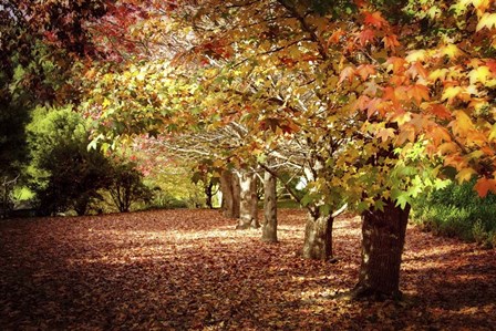 Autumn Walk by Incredi art print
