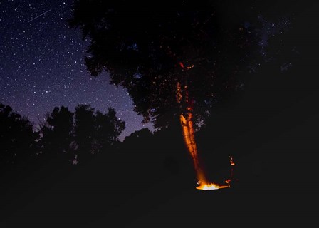 Campfire Under The Meteors by Brenda Petrella Photography LLC art print
