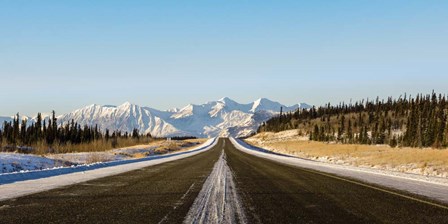 Endless Road by Brenda Petrella Photography LLC art print