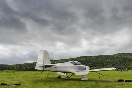 Grounded Today by Brenda Petrella Photography LLC art print