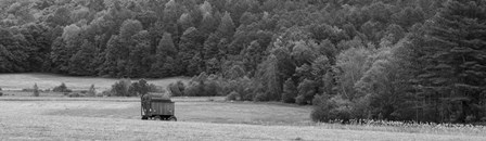 Hay Wagon by Brenda Petrella Photography LLC art print