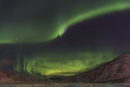 Lighting The Yukon River by Brenda Petrella Photography LLC art print
