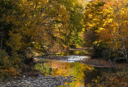 Meandering Colors by Brenda Petrella Photography LLC art print