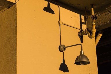 Reflected Shadows by Brenda Petrella Photography LLC art print