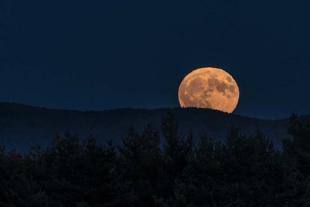 Supermoon Ridge Rise by Brenda Petrella Photography LLC art print