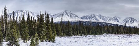 Winterscape by Brenda Petrella Photography LLC art print