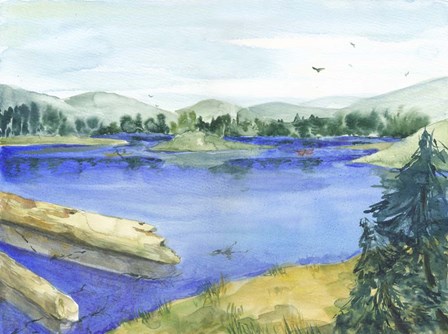 Lassen by Marietta Cohen art print