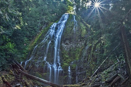 Lower Proxy Falls by Larry McFerrin art print