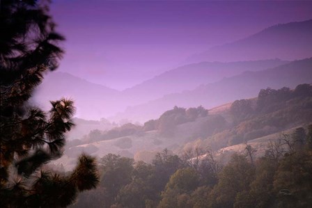 Misty Valley by Ramona Murdock art print