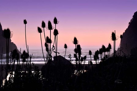 Beach Twilight I by Ramona Murdock art print