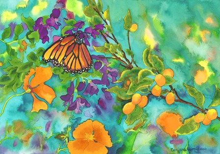 California Monarch by Carissa Luminess art print