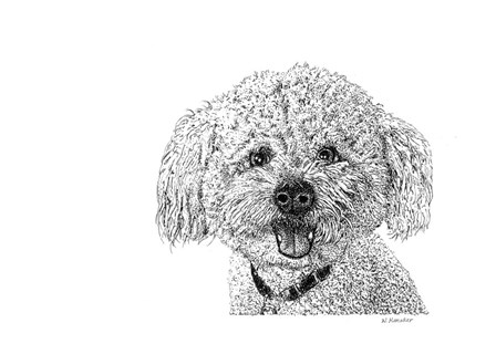 Bichon by Let Your Art Soar art print