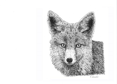 Fox by Let Your Art Soar art print