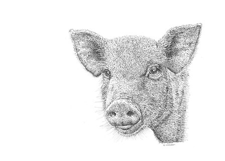 Pig by Let Your Art Soar art print