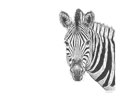 Zebra by Let Your Art Soar art print