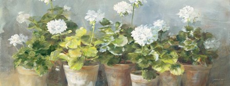 White Geraniums v2 by Danhui Nai art print