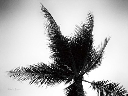 Palm Tree Looking Up IV by Debra Van Swearingen art print