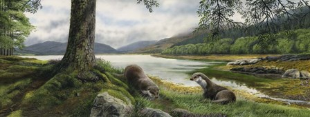 Otters by Nigel Artingstall art print