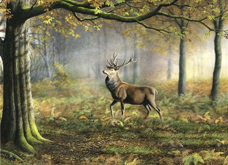 Red Stag by Nigel Artingstall art print