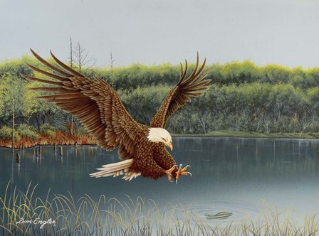 The Catch by Don Engler art print