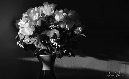 Flowers In Light by 5fishcreative art print