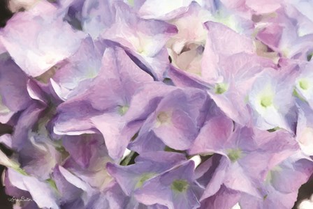Violet Hydrangeas by Lori Deiter art print