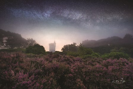 Let It All Go by Martin Podt art print